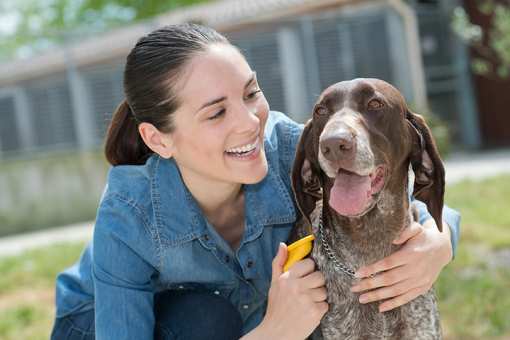 The Best Volunteer Opportunities in Wisconsin!